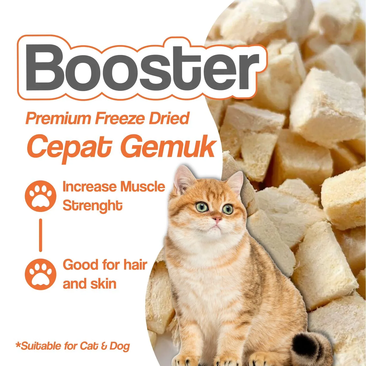 Cat Treats